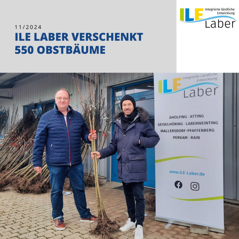 Baumausgabe ILE Laber1